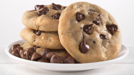 Shredding Hunger Chocolate Chip 2.5lb